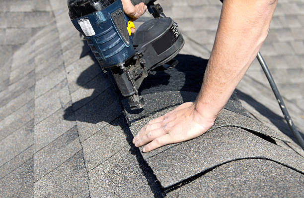 Best Roof Moss and Algae Removal  in Oakwood, PA
